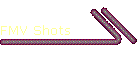FMV Shots