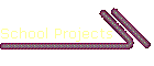 School Projects